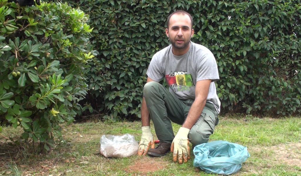 Κήπος: Επανασπορά γκαζόν