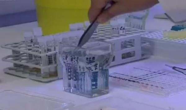 Δεκάδες ασθενείς στην εντατική από την εποχική γρίπη