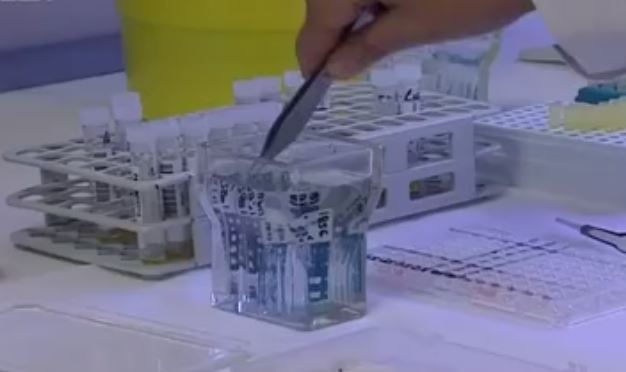 Δεκάδες ασθενείς στην εντατική από την εποχική γρίπη