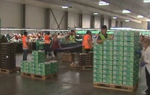 Να καταργηθούν οι νόμοι που μείωσαν τον κατώτατο μισθό ζητά η ΓΣΕΕ