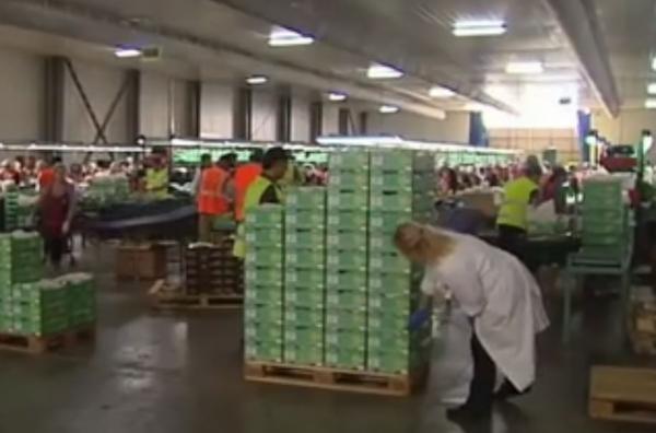 Μείωση εργοδοτικών εισφορών και οριακή αύξηση μισθών από τον Ιούλιο