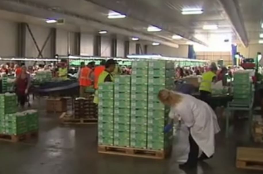 Μείωση εργοδοτικών εισφορών και οριακή αύξηση μισθών από τον Ιούλιο