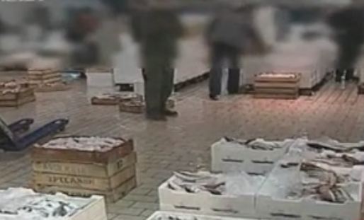 Φοροδιαφυγή μαμούθ στην ιθχυόσκαλα Κερατσινιου και Μηχανιώνας