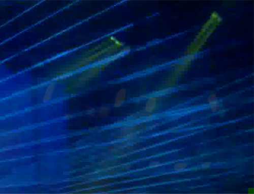 Από τη συναυλία του Ζαν Μισέλ Ζαρ εχθές στο Κλειστό του Φαλήρου