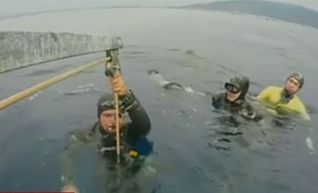 Παγκόσμιο ρεκόρ στην ελεύθερη κατάδυση από το Σταύρο Καστρινάκη