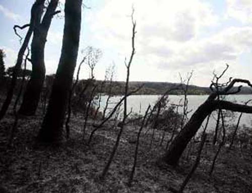 Υπό έγκριση το «πλαίσιο Μπιρμπίλη»