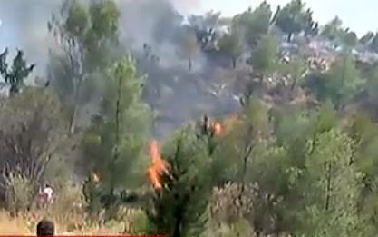 Καρέας: Μάχη με τις φλόγες από κατοίκους και πυροσβέστες