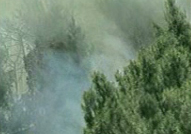 Mάχη με τις φλόγες σε Κορωπί και Κυπαρισσία – Σε ύφεση τα υπόλοιπα μέτωπα