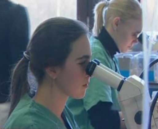 Γονιδιακή θεραπεία με επιτυχία στη λευχαιμία