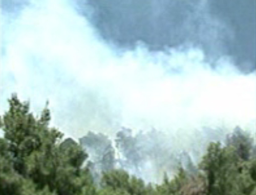 Υπό μερικό έλεγχο τέθηκαν δύο πυρκαγιές στο νομό Αχαΐας