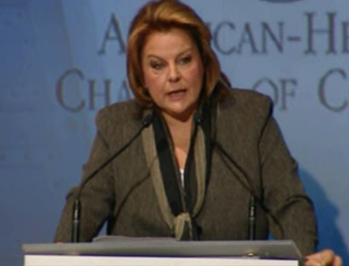 Συναίνεση στις ρυθμίσεις για τις επιχειρησιακές συμβάσεις ζητεί η Λ.Κατσέλη