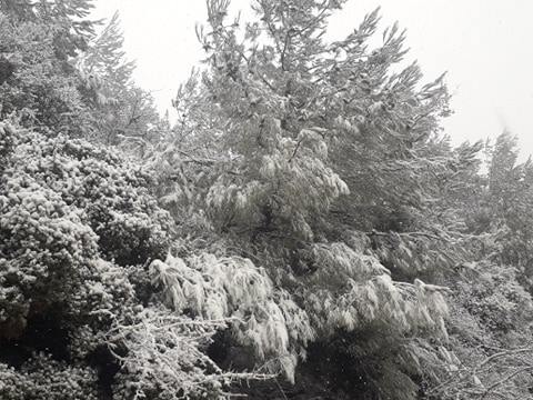 Πυκνή χιονόπτωση στα ορεινά χωριά της Λέσβου