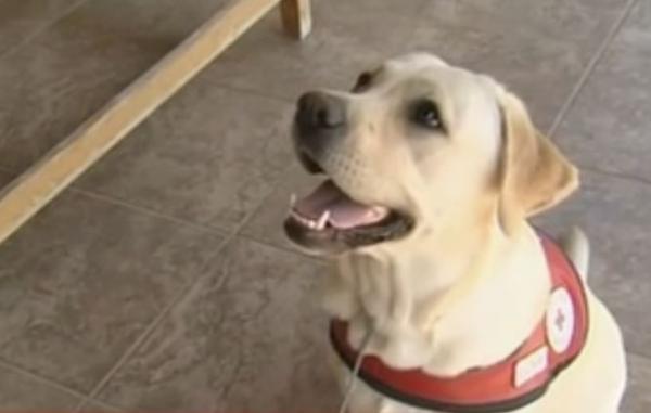 Η Λούνα θα διδάξει στο ειδικό σχολείο Γιαννιτσών