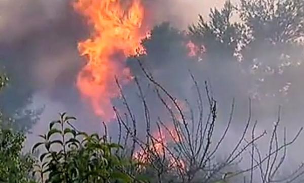 Μαλακάσα: Οι φλόγες έφτασαν στα σπίτια