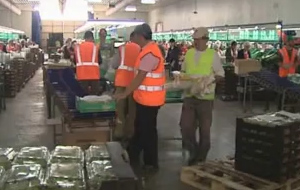 Οριστικά ο κατώτατος μισθός στα 586 ευρώ