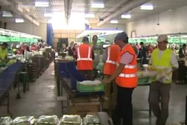 Πώς διαμορφώνονται οι μισθοί στον ιδιωτικό τομέα