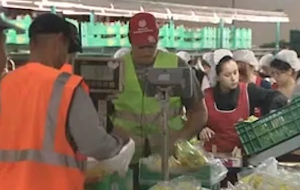 «Παγωμένος» έως το 2016 ο βασικός μισθός, λέει το υπ. Εργασίας