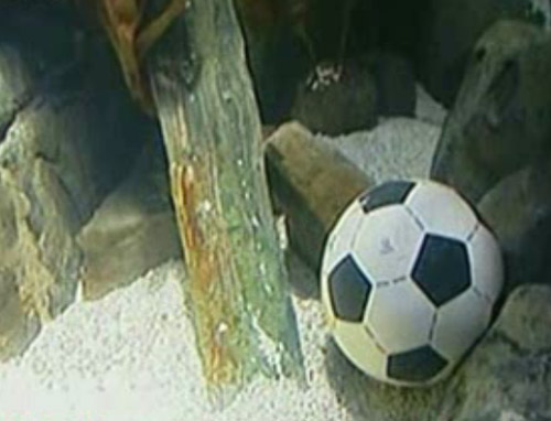 Γερμανία – Ισπανία στον δεύτερο ημι-τελικό του Μουντιάλ