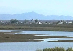 «Εξέγερση» βουλευτών του ΠΑΣΟΚ για τους όρους δόμησης σε περιοχές Natura