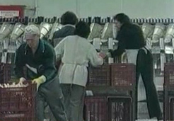 Η «γενιά των 700» έγινε «γενιά των 592» ευρώ