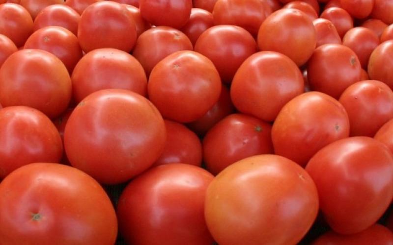Κατασχέθηκε 1,5 τόνος ντομάτας σε επιχείρηση του Πειραιά