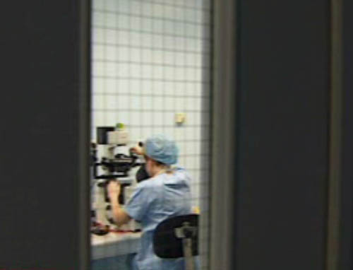 Εξαρθρώθηκε διεθνές κύκλωμα σωματεμπορίας και εμπορίας ωαρίων