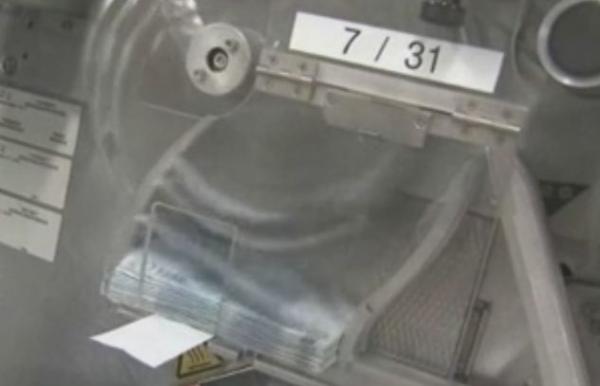 Η διαδικασία αποπληρωμής των ληξιπρόθεσμων οφειλών του Δημοσίου