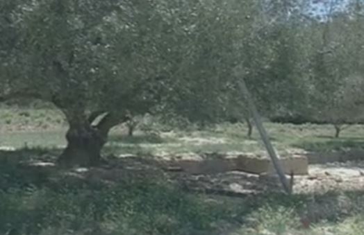 ΥΠΟΙΚ: Βάσει των κατώτερων τιμών οικοπέδων ο ΦΑΠ στις 457 περιοχές