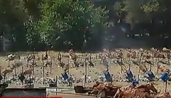 Παραδοσιακό γλέντι με οβελίες και δημοτικά τραγούδια στο Μαρούσι