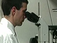 Μέχρι τέλη Σεπτεμβρίου η έξαρση κρουσμάτων του ιού του Δυτικού Νείλου