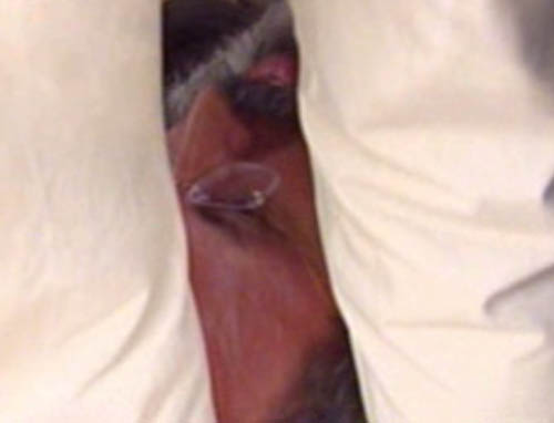 Επίθεση κατά του πρωθυπουργού με παπούτσι επιχείρησε 49χρονος στη ΔΕΘ