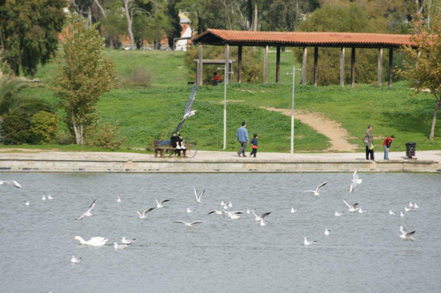 Ένα διαφορετικό χριστουγεννιάτικο γεύμα ετοιμάζουν παιδιά στο πάρκο «Αντώνης Τρίτσης»