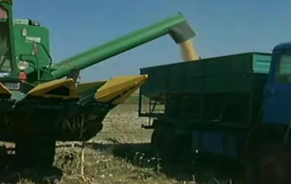 Οργιώδη σπατάλη δημοσίου χρήματος δείχνουν τα στοιχεία για ΠΑΣΕΓΕΣ