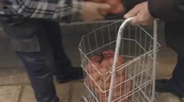 Το «κίνημα της πατάτας» επεκτείνεται σε όλη τη χώρα