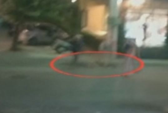 Πατέρας Αλ. Γέροντα: Να σταματήσουν τον κύκλο του αίματος εδώ