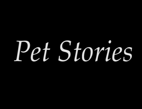Pet stories (To 1o μέρος της συνέντευξης με την Βίκυ Κασκούρα (Ιδιοκτήτρια Pet Shop).