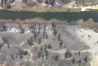 «Μπαλάκι» οι ευθύνες για την πυρανίχνευση στο φοινικόδασος της Πρέβελης