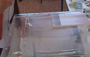 Συνεργασίες κομμάτων για να προσελκύσουν ψηφοφόρους