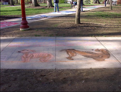 Stop Puppy Mills(To 2o μέρος της συνέντευξης με την Βίκυ Κασκούρα (Ιδιοκτήτρια Pet Shop)