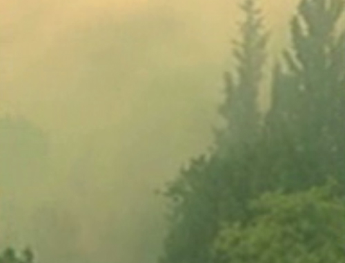 Μεγάλη πυρκαγιά σε δασική έκταση στη Σάμο