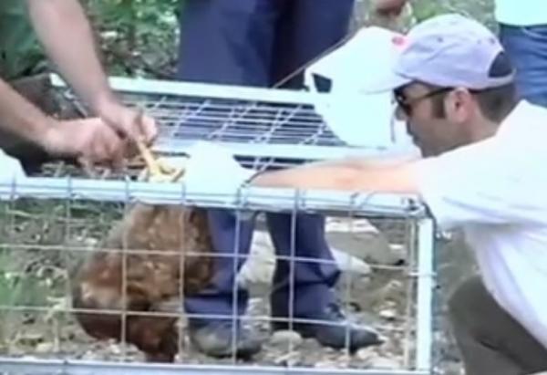 Παγίδες για το Σήφη έβαλαν στην Κρήτη