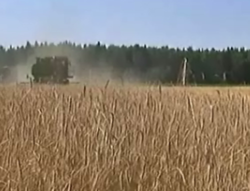 Η ξηρασία και οι πυρκαγιές στη Ρωσία εκτινάσσουν την τιμή των σιτηρών παγκοσμίως