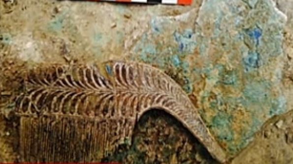 Τα μυστικά του αρχαίου τάφου της Πύλου