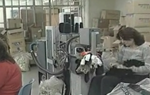 Ενας στους τρεις εργαζόμενους είναι ανασφάλιστος