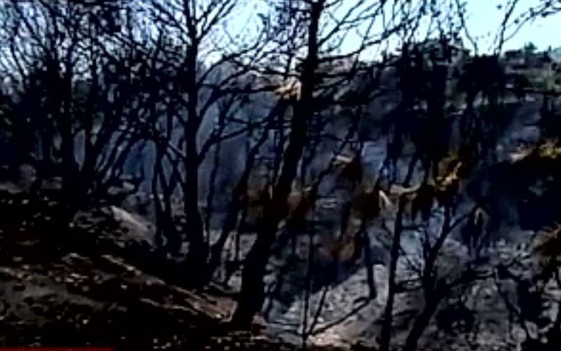 Φωτιά σε Ναύπλιο και Θρακομακεδόνες απείλησε σπίτια