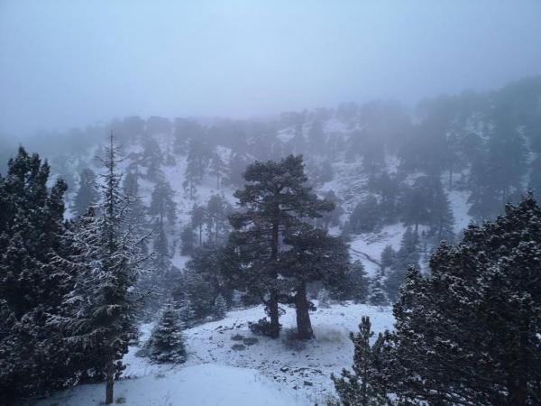 Στα «λευκά» το όρος Τρόοδος στην Κύπρο