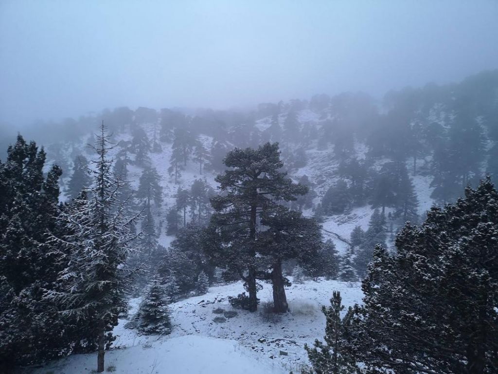 Στα «λευκά» το όρος Τρόοδος στην Κύπρο