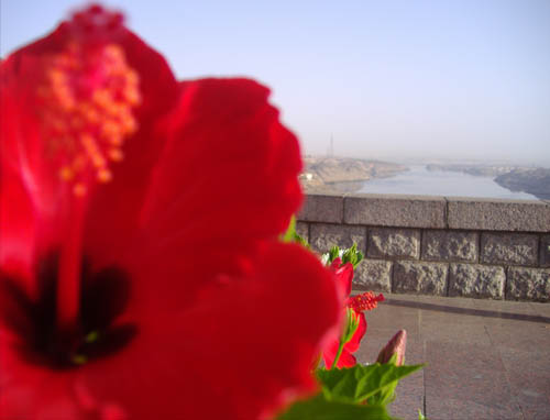 Σύγχρονο Ταξίδι στην…Αρχαία Αίγυπτo