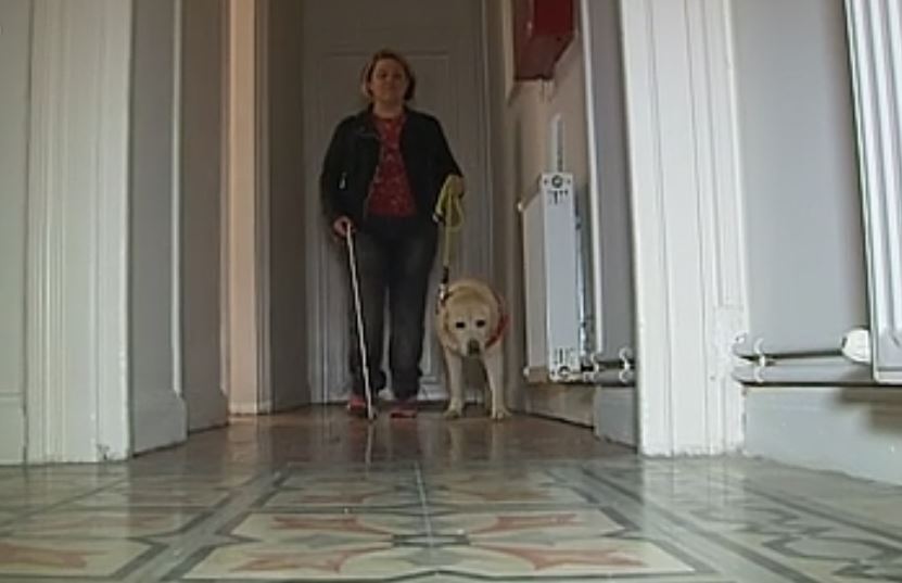 Τη λύπη του εκφράζει ο ΟΑΣΑ για το περιστατικό με την τυφλή επιβάτιδα