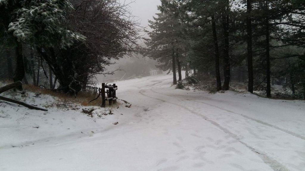Κλειστός ο δρόμος προς Πάρνηθα λόγω χιονόπτωσης - Μποτιλιάρισμα στην Αθηνών - Λαμίας